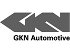 FGKN Automotive